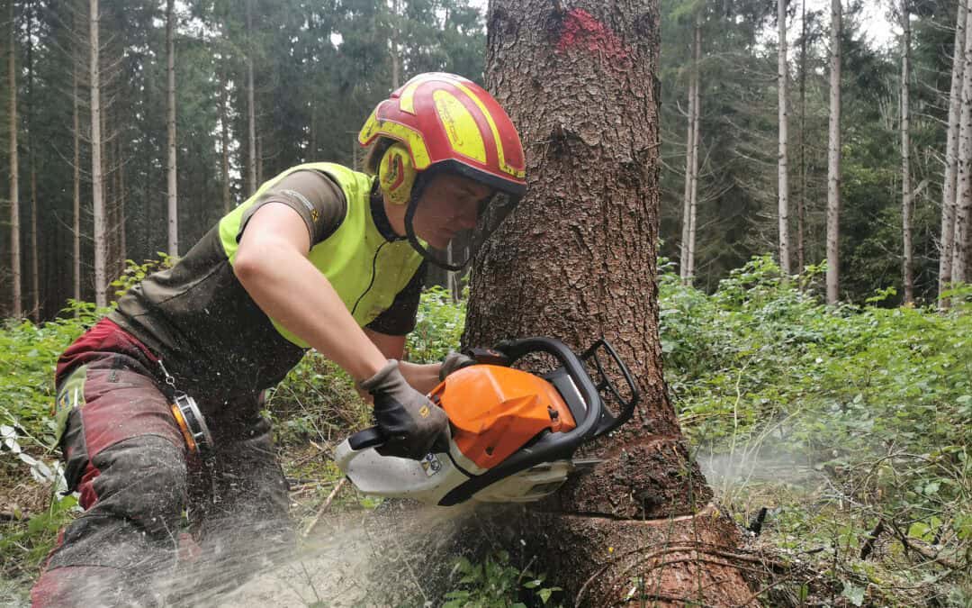 Waldgeschichten-Botschafterin Viktoria Hutter