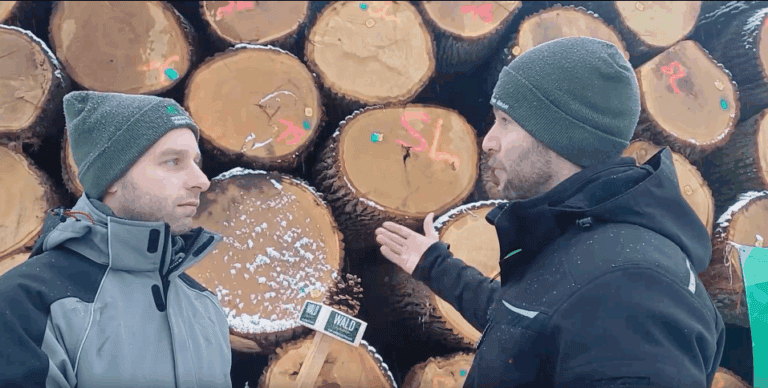 Waldgeschichten über Beratung der Wertholzsubmission