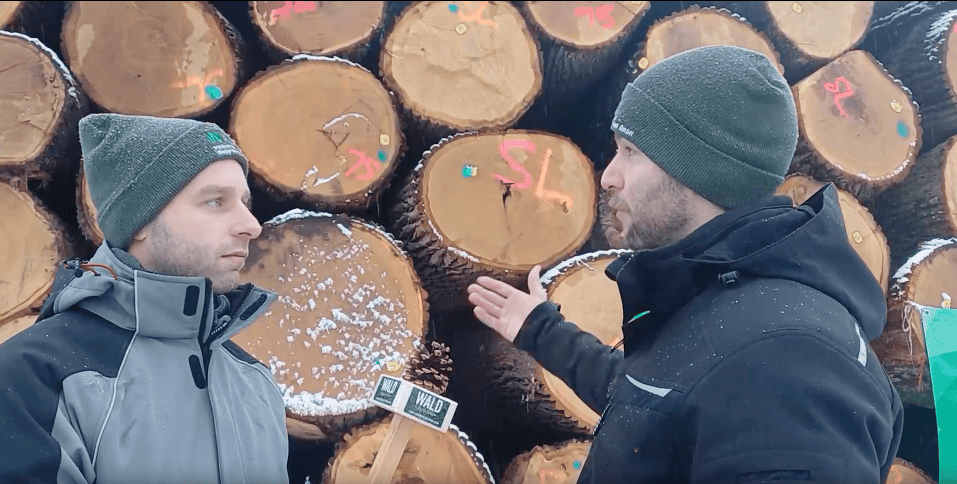 Wertholzsubmission 2026: Zahlen und Entwicklung