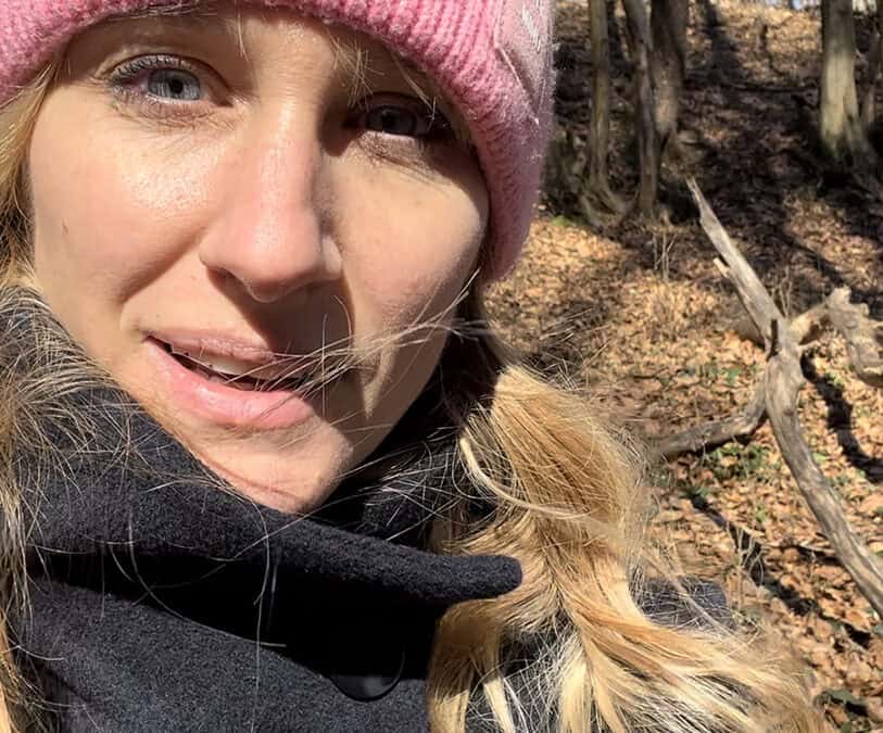 Wie der Wind den Wald verjüngt