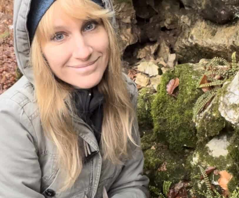 Warum die Rotbuche selbst bei Trockenheit prächtig wachsen kann