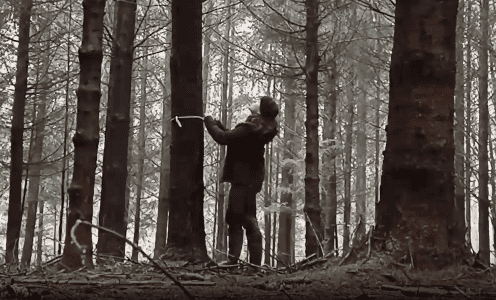 Waldgeschichten-Botschafterin Susanna Teufl über Forstwirtschaft und unsere Wälder in Österreich