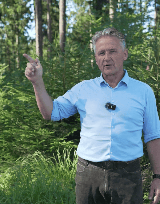 Borkenkäfer erkennen: Woran Waldbesitzer den Befall frühzeitig feststellen