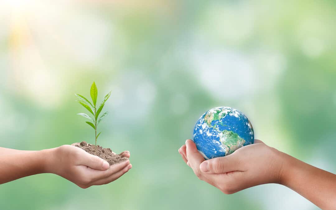 Internationaler Tag des Waldes 2026: Bedeutung für Klima, Wirtschaft und Österreich