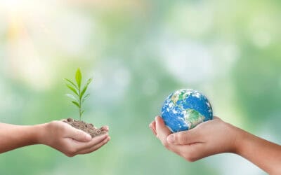 Internationaler Tag des Waldes 2026: Bedeutung für Klima, Wirtschaft und Österreich