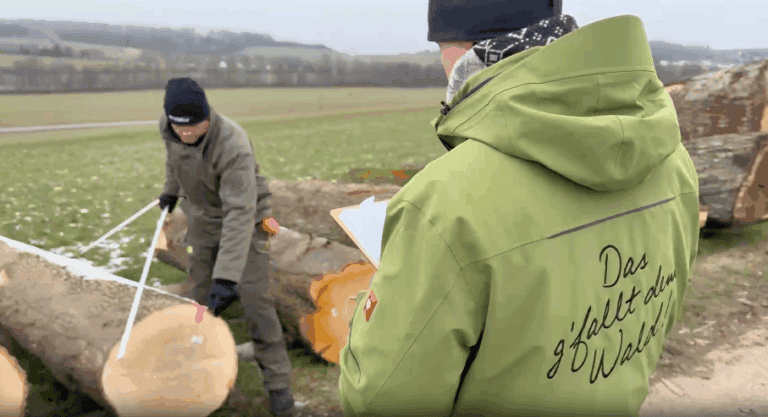Johanna Köck berichtet für Waldgeschichten vom Stämme messen bei der Wertholzsubmission