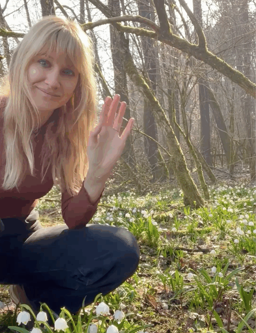 Frühlingsknotenblume im Wald