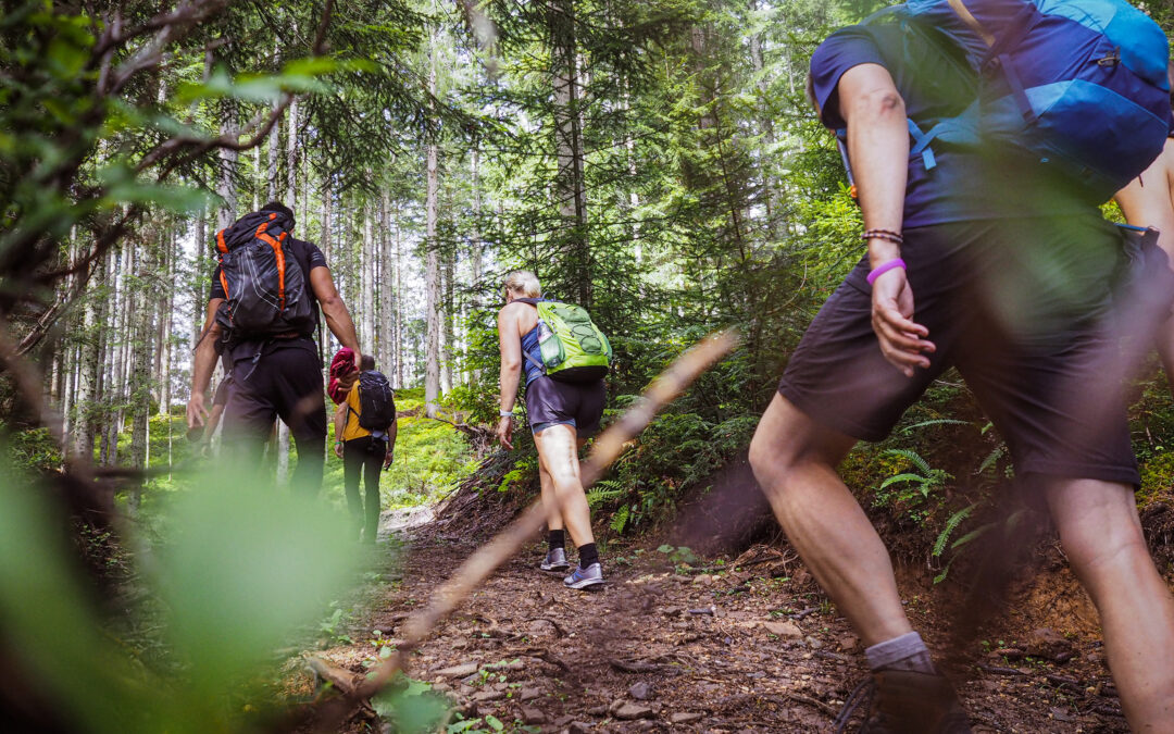 Wald-Ausflugsziele in den österreichischen Bundesländern