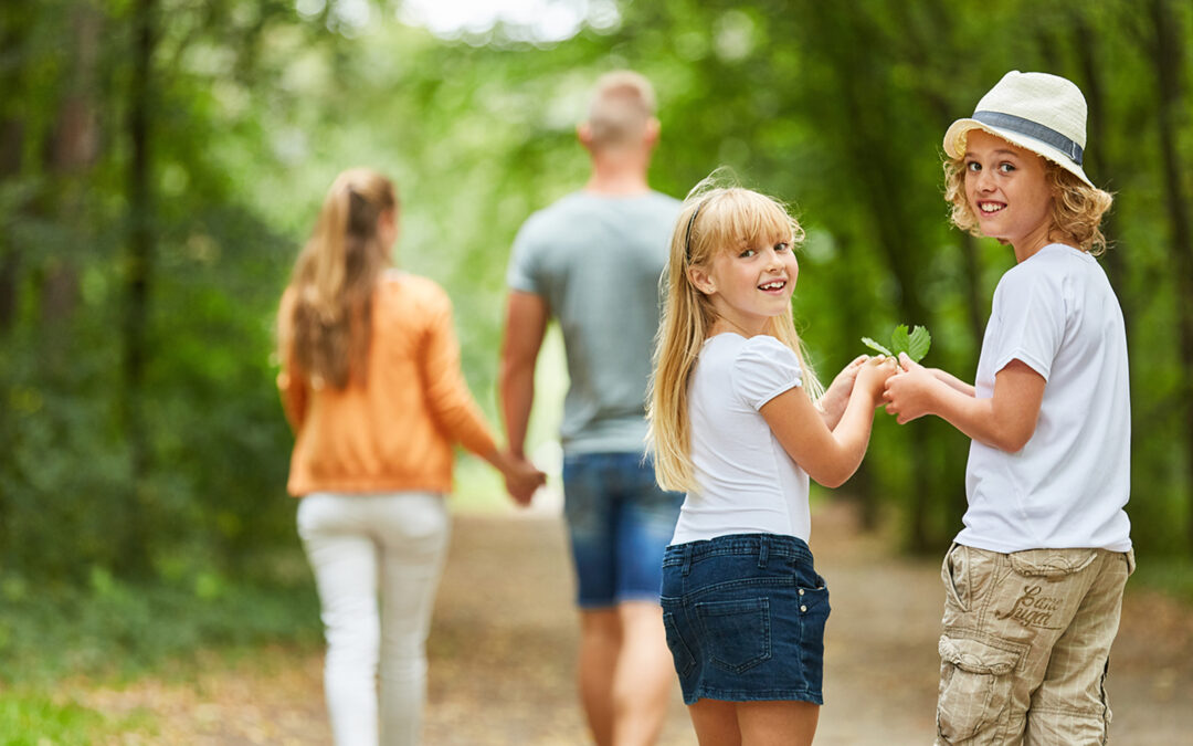 Ausflugsziele im Wald