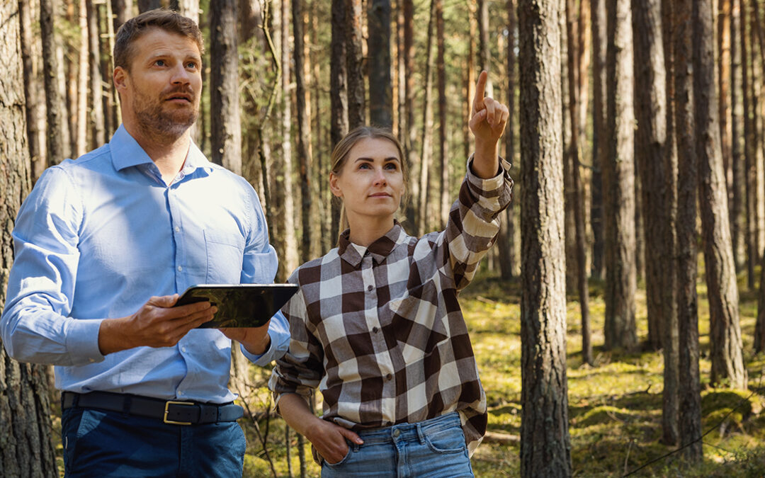 Försterinnen und Förster mit Smartphone: Digitale Tools und KI in der österreichischen Waldbewirtschaftung