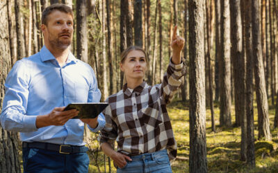 Försterinnen und Förster mit Smartphone: Digitale Tools und KI in der österreichischen Waldbewirtschaftung