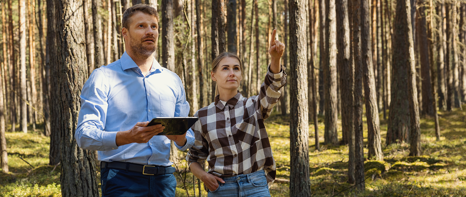 Waldgeschichten über digitale Tools in der Forstwirtschaft