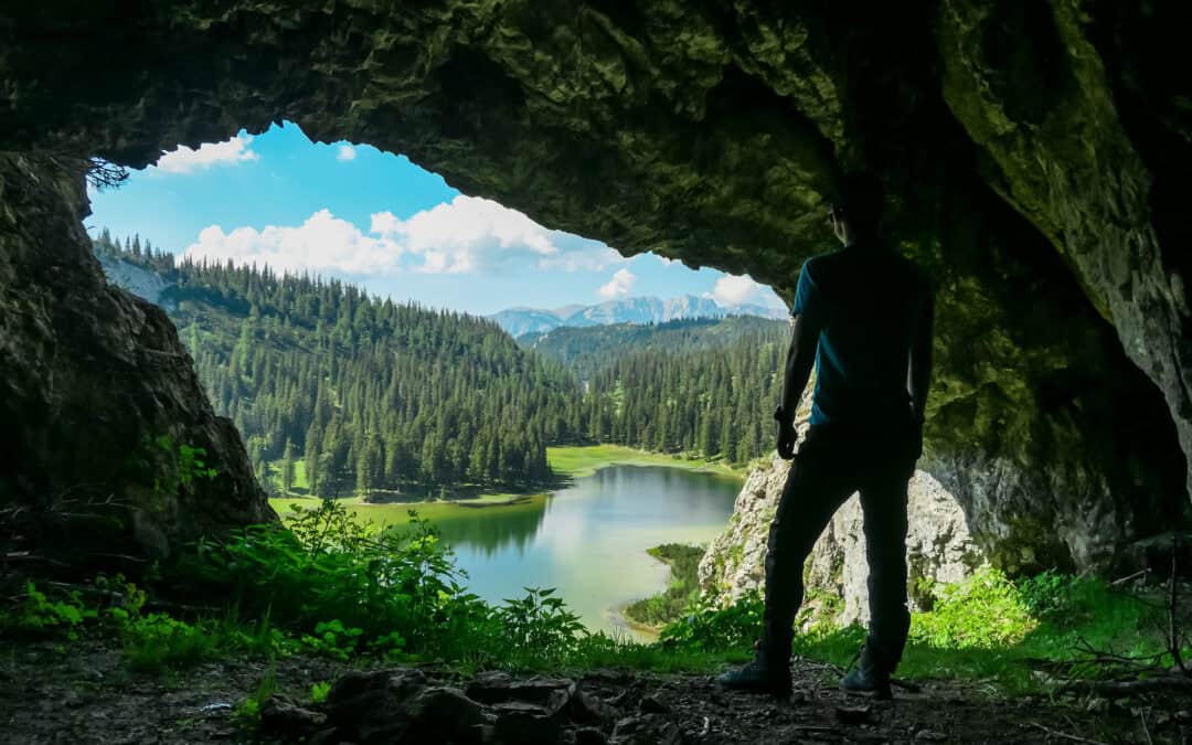 Waldfest am Grazer Hauptplatz: Waldvielfalt erleben