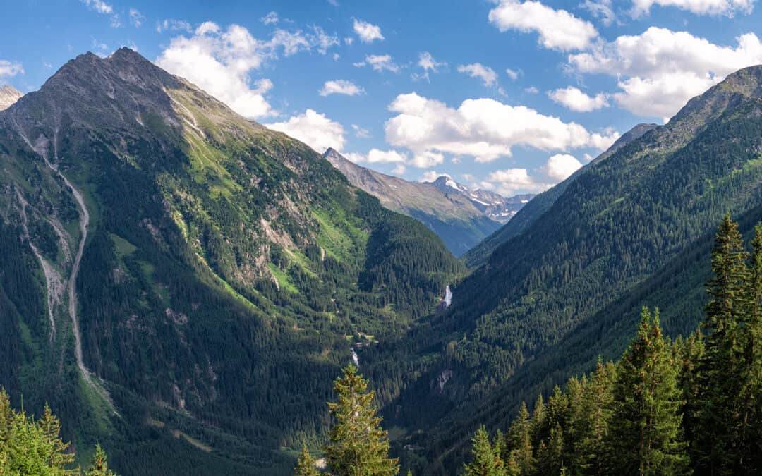 Der Wald schützt Österreich – und wer schützt den Wald?