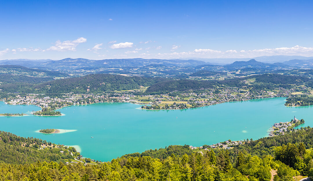 Der Wald in Kärnten