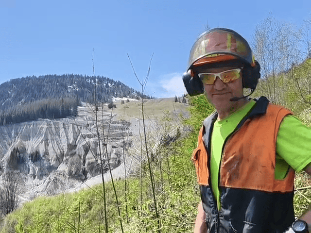 Schutzwaldpflege am Schesabruch bei Bludenz
