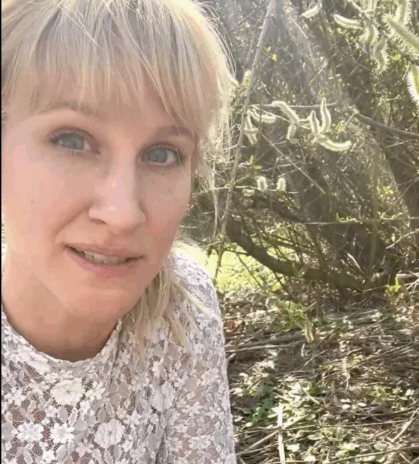 Der Waldrand: Wichtiger Hotspot für Biodiversität