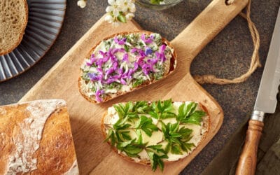 Superfood: Was der Wald auf den Teller bringt