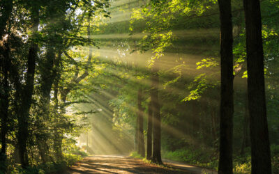 Tag gegen Lärm 2026