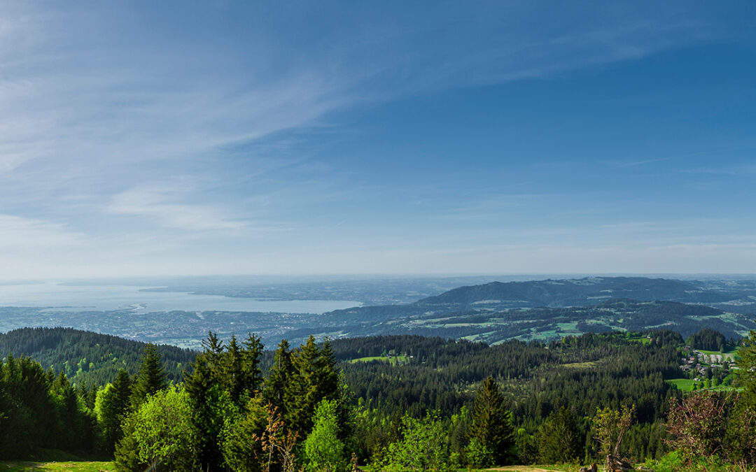 Der Wald in Vorarlberg