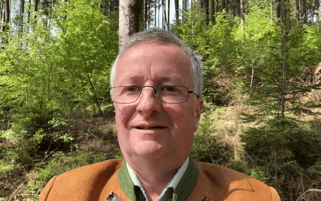 Klimafitter Wald: Warum die Mischung zählt