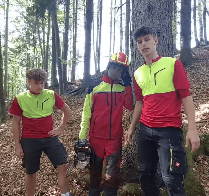 Arbeitssicherheit im Wald