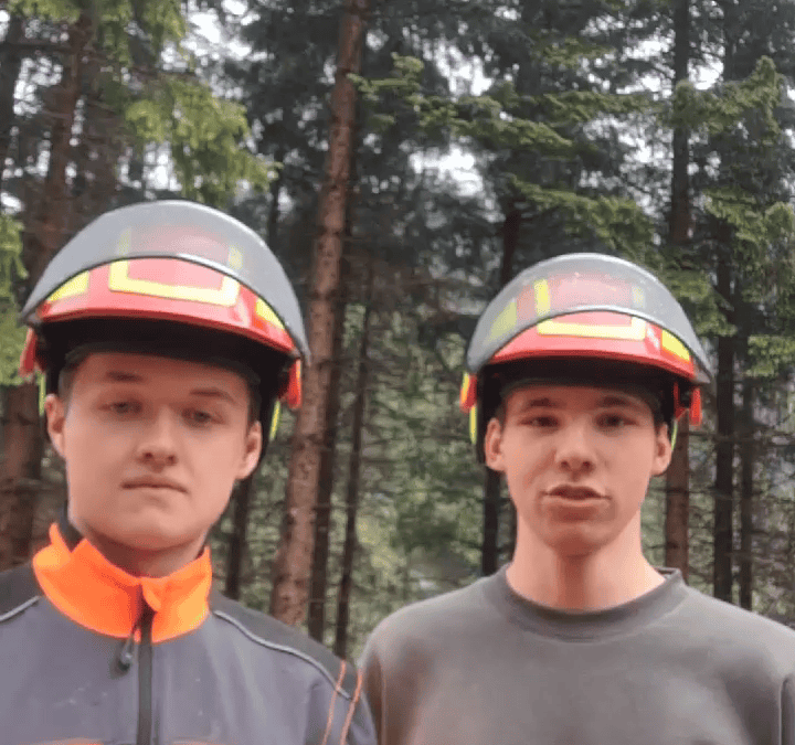 Rückegassen im Wald