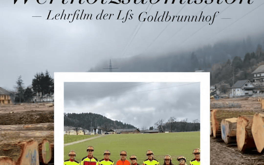 Was ist eine Wertholzsubmission?