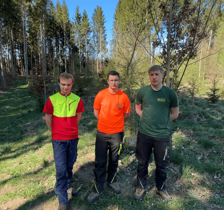 Was ist ein klimafitter Wald?