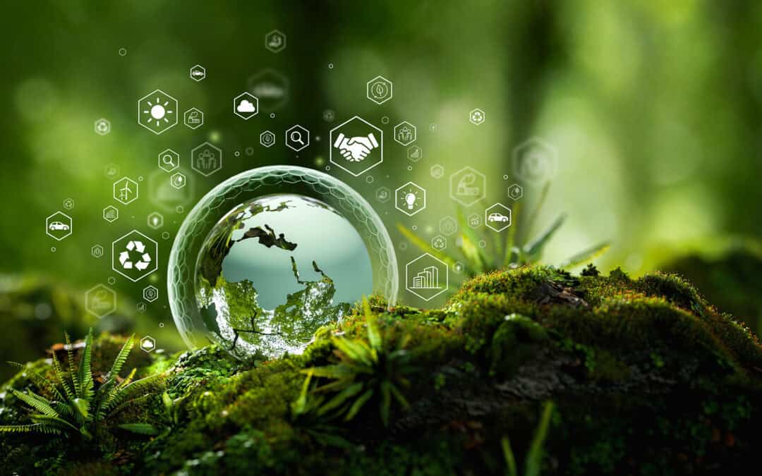 Woche des Waldes 2026: Warum Wald auch Wirtschaft ist