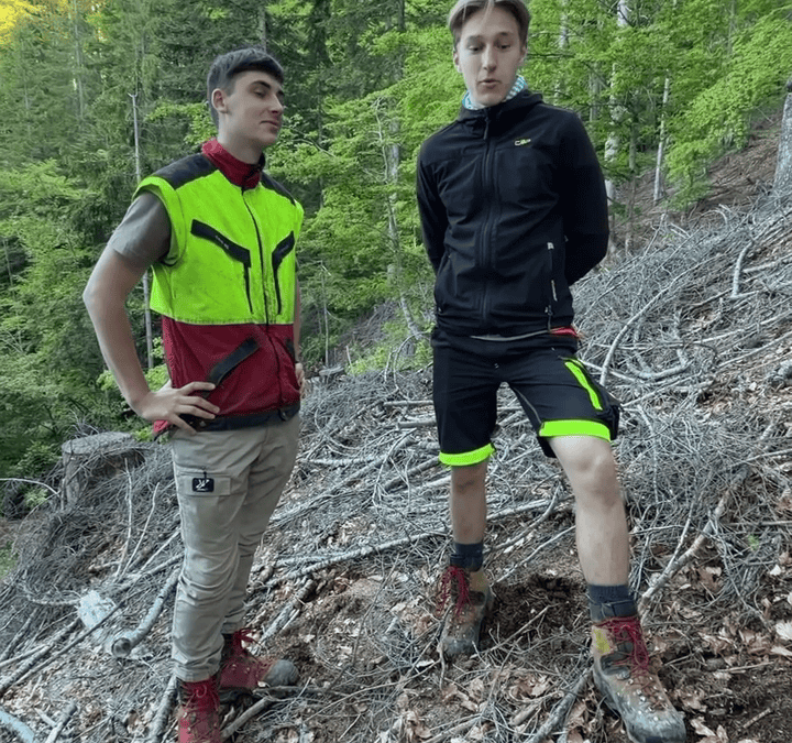 Was ist eine Weiserfläche im Wald?