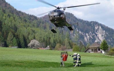 Waldbrandvorsorge im Wirtschaftswald: Was Waldbesitzer tun können