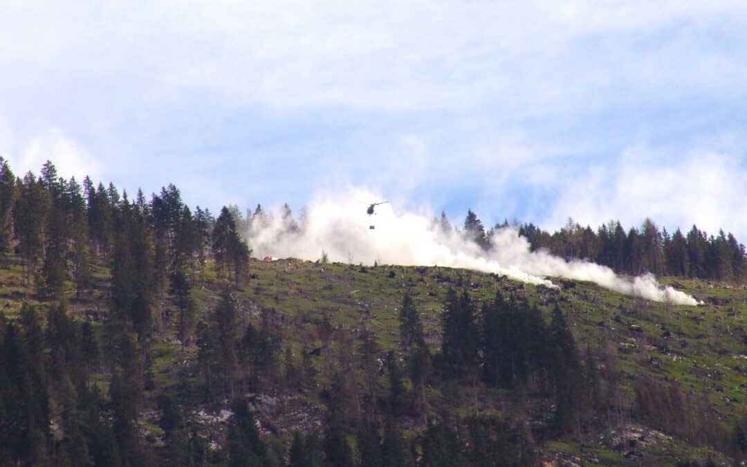 Waldbrandvorsorge im Wirtschaftswald