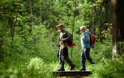 Das Jahr im österreichischen Wald : Juli