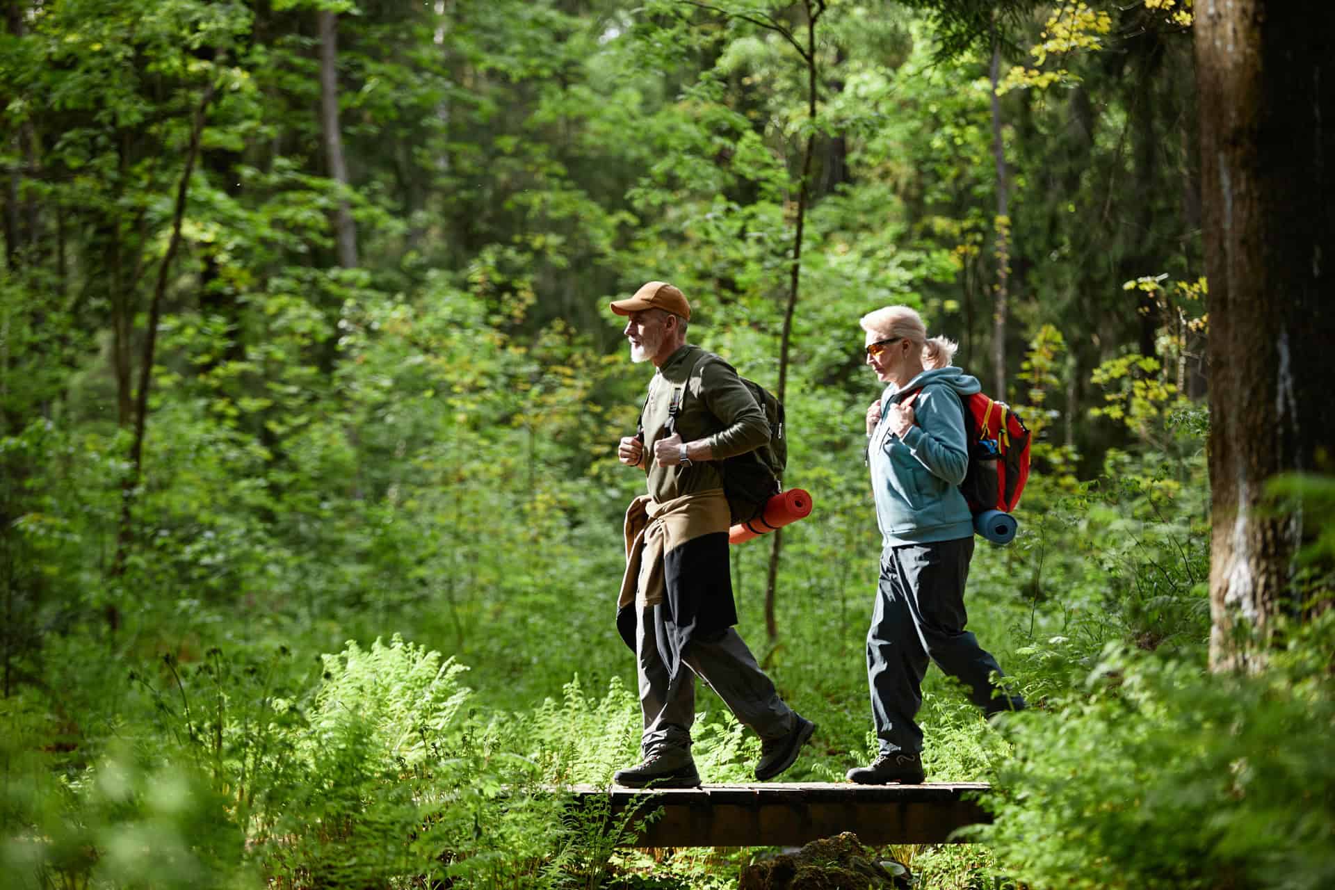 Waldgeschichten und das Jahr im Wald, Juli, Jahreszeiten