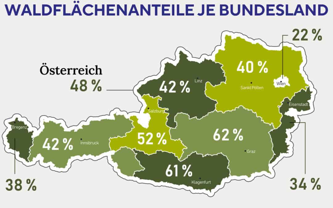 Österreichs Wald in Zahlen: Das Poster zum Download