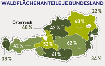 Österreichs Wald in Zahlen: Das Poster zum Download