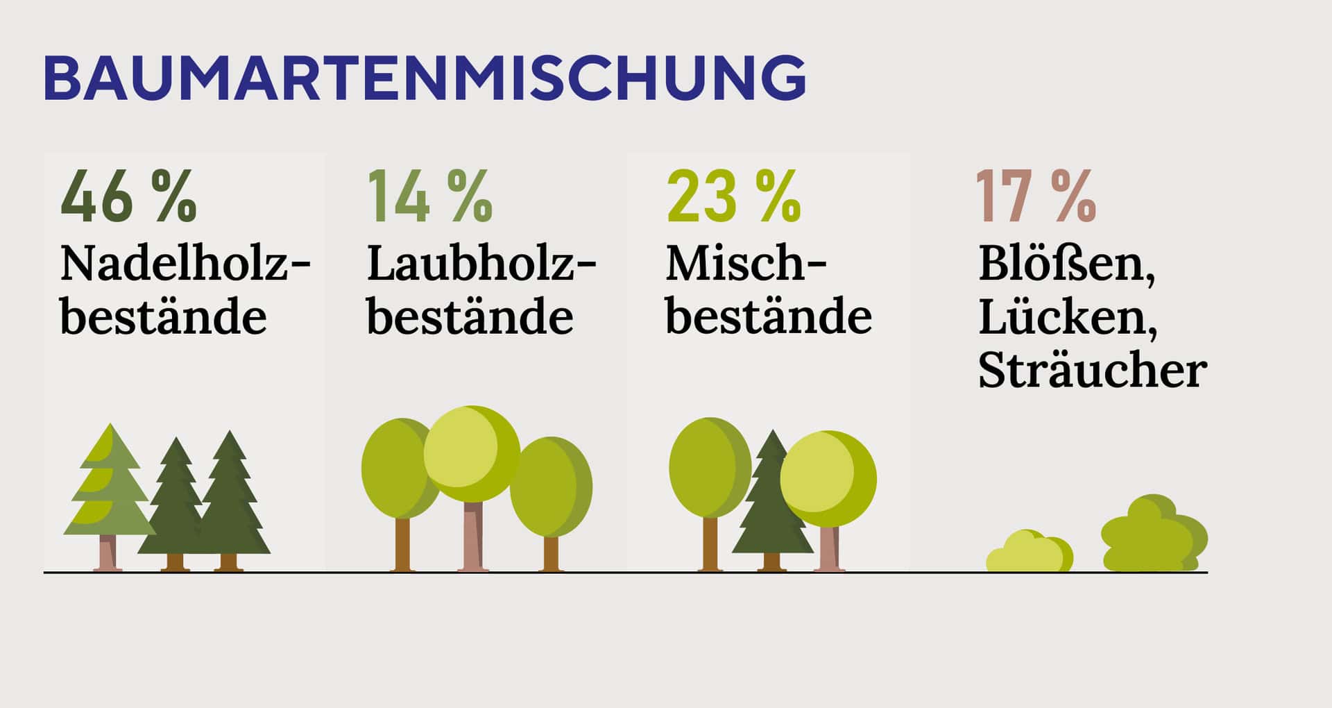 Waldgeschichten - Zahlen, Daten Fakten zum österreichischen Wald