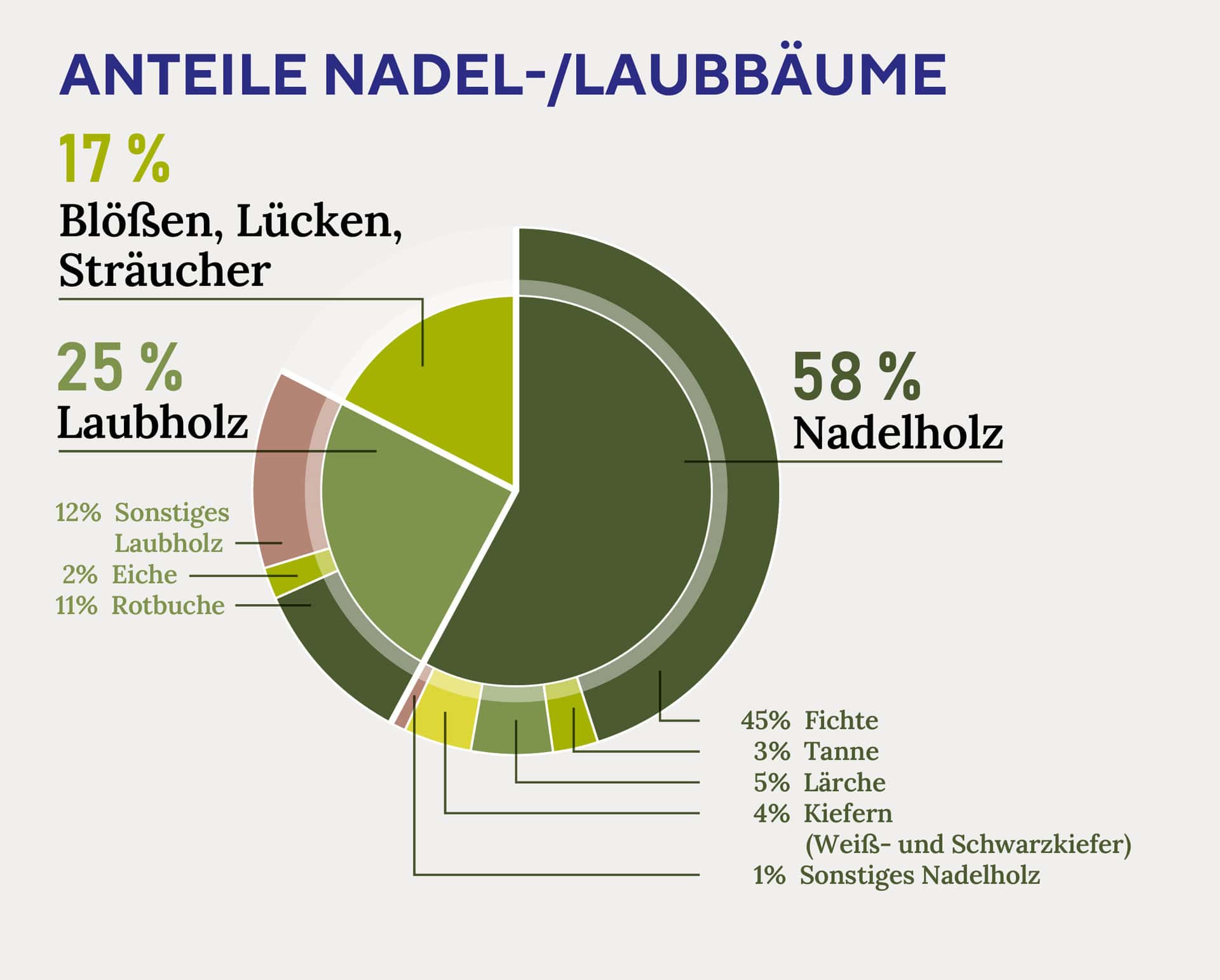 Waldgeschichten - Zahlen, Daten Fakten zum österreichischen Wald
