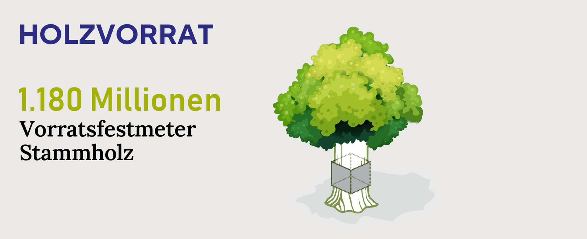 Waldgeschichten - Zahlen, Daten Fakten zum österreichischen Wald