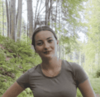 Kraft’sche Baumklassen im Wald