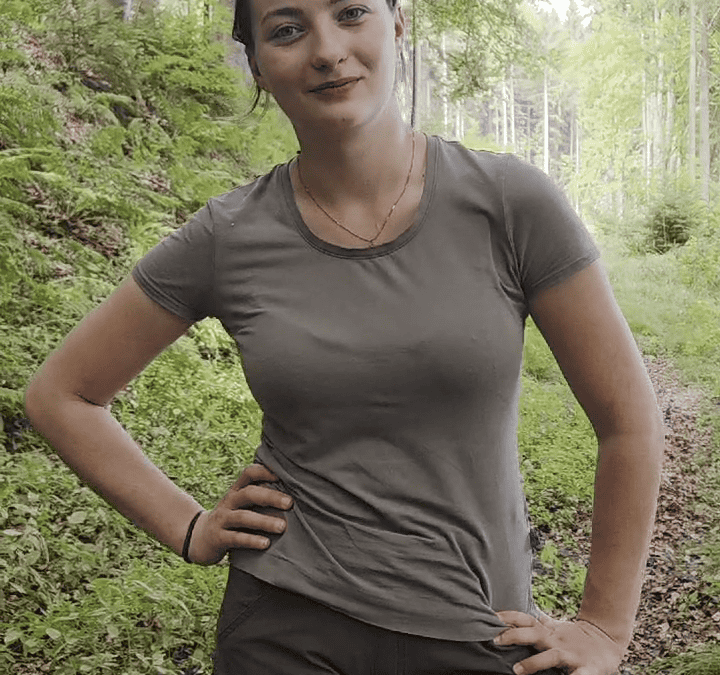 Kraft’sche Baumklassen im Wald