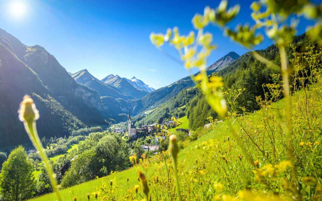 Schutzwaldpolitik Österreich