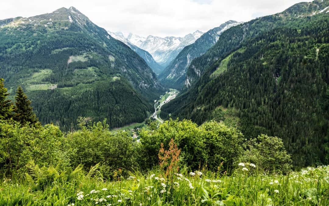 Klimaschutzleistung der Forst- und Holzwirtschaft