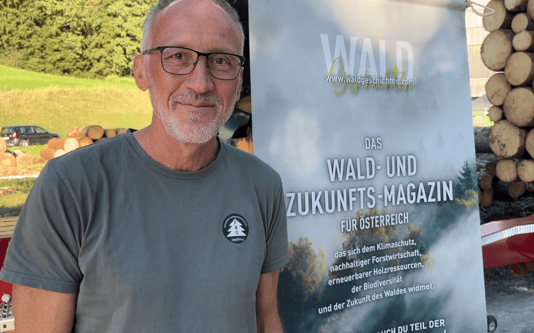 Gemeinschaftlich den Wald fit für die Zukunft machen