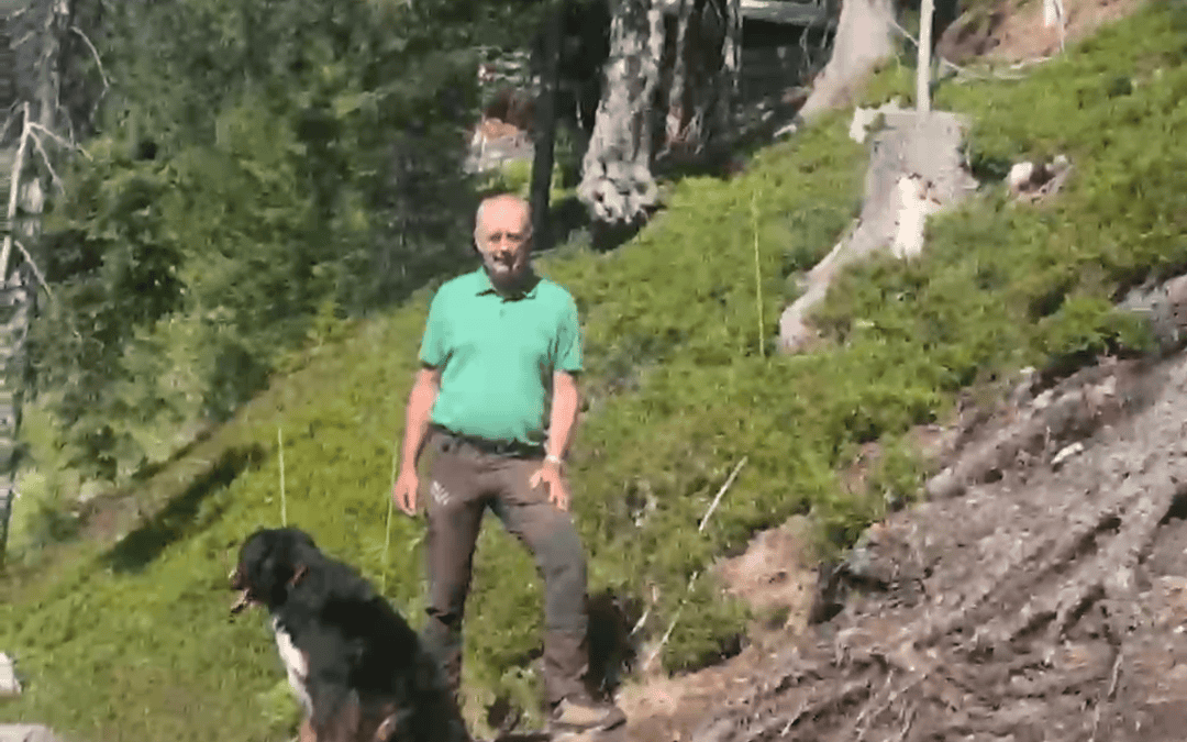 Nur ein gepflegter Schutzwald kann uns auch schützen