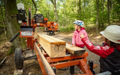Waldtage 2026: Wald erleben, verstehen und neu entdecken